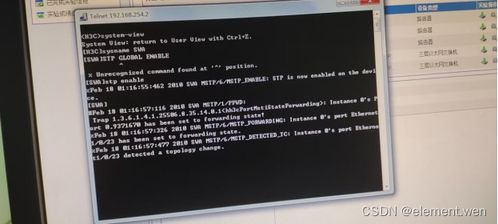 計算機(jī)網(wǎng)絡(luò)實驗四 配置VLAN與生成樹協(xié)議